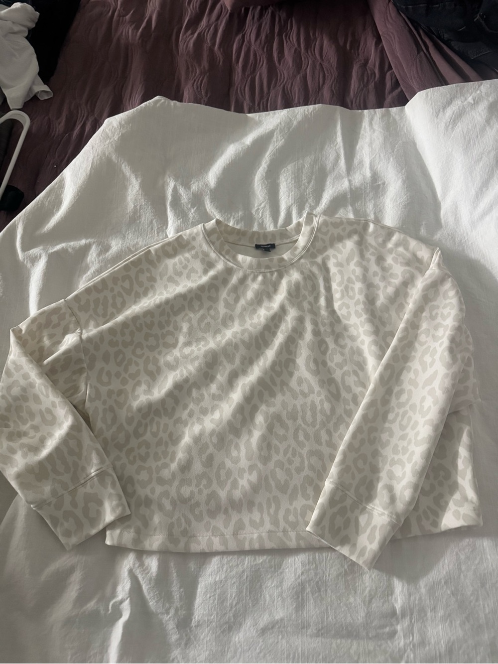 Express Cream Leopard-Print Long Sleeve Pullover